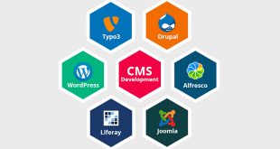 CMS Development