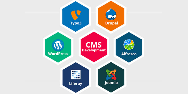 CMS Development